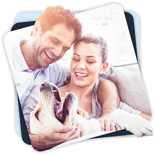 Happy couple playing with a dog on the couch