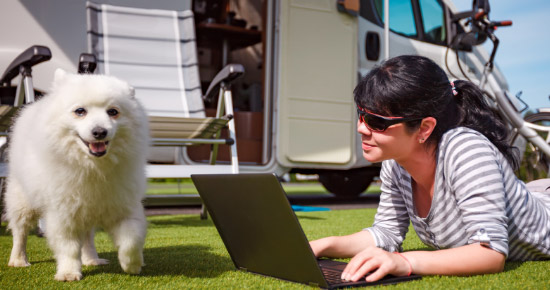 Renew My Campervan Insurance