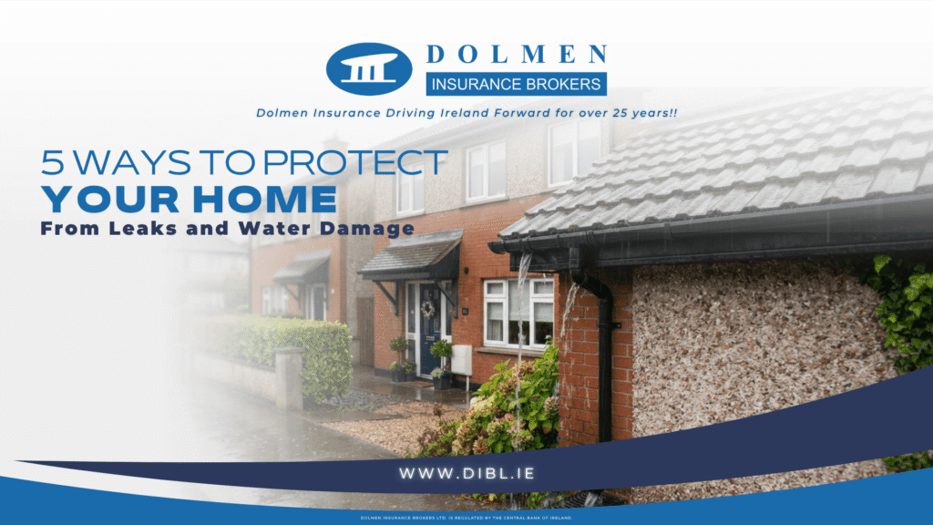 image of Irish home with text on left saying "5 ways to protect your home from leaks and water damage"